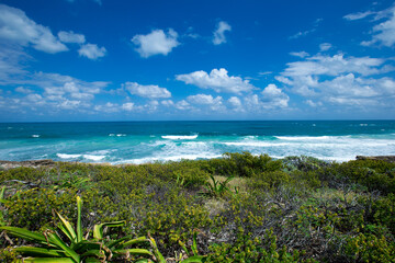 Wall Mural - Blue sea and blue sky. Beach and sea