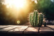 cactus with nature background, close up