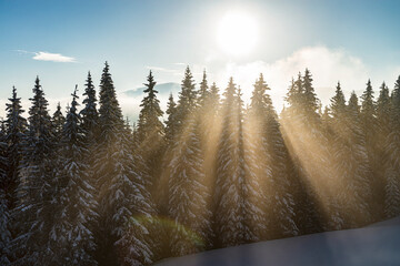 Poster - Scenic landscape in the winter mountains