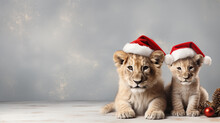 Cute And Festive Lions, Holiday Celebration In Santa Attire