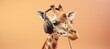 Delighted giraffe in headphones, pastel background with blank space for text placement