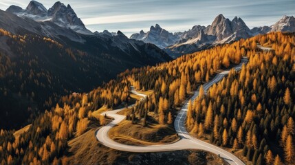 Wall Mural - Top aerial view of famous Snake road near Passo Giau in Dolomite Alps. Winding mountains road in lush forest with orange larch trees and green spruce in autumn time. Dolomites, Italy
