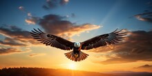 AI Generated. AI Generative. Wild American Eagle Bird Flying In The Blue Air Sky At Golden Sunset Nature Outdoor Landscape. Graphic Art