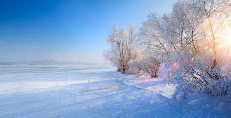  winter Landscape with Frozen lake and snowy trees