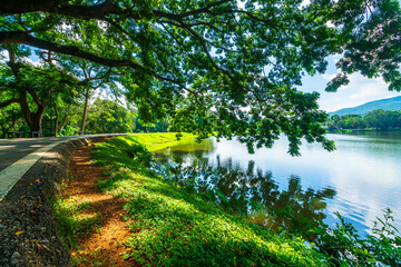 Wall Mural - a public place Asphalt black grey road leisure travel landscape lake views at Ang Kaew Chiang Mai University and Doi Suthep nature forest Mountain views spring cloudy sky background with white cloud.