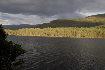 Wall Mural - Loch an Eilein, Rothiemurchus scotland