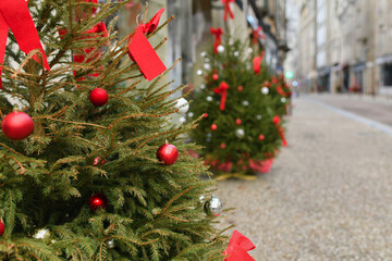 Decorated Christmas trees in front of shops in the city