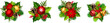 Christmas decorations with red and gold Christmas balls, fir branches, pinecones, poinsettia flowers, and holly isolated on a white background. Set of vector illustrations