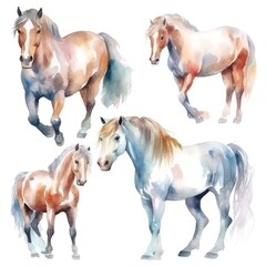 Wall Mural - set Funny cute horse racers of watercolors on white background