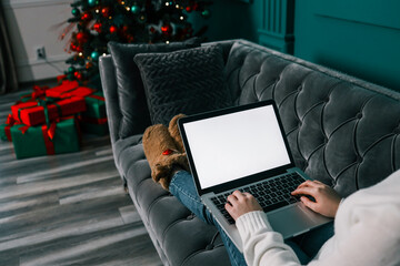 Young woman work on laptop computer with blank display screen with mockup copy space. Modern home living room interior design. Christmas, New Year decorated workspace