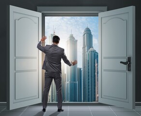 Wall Mural - Businessman entering big large door