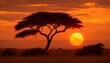African sunset with trees and grass
