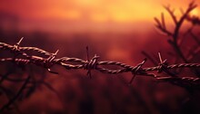 Barbed Wire With Blurred Background