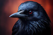 menacing raven close-up blue/black feathers and red eye