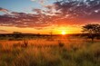 Sunset in the Okavango Delta - Moremi National Park in Botswana, Sunrise over the savanna and grass fields in central Kruger National Park in South Africa, AI Generated