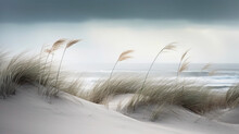 Seagrass By The Sea - Ocean, Beach, Dune, Horizon, Sky