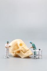 Wall Mural - Miniature people Doctor with a giant human skull on a grey background