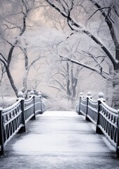 Wall Mural - snow covered bridge in NYs central park in winter