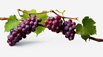 bunch of red grapes