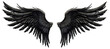 Pair of black wings, cut out