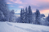 Fototapeta Do pokoju - Górzysty krajobraz zimowy, biały śnieg, Beskidy