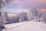 Fototapeta Do pokoju - Górzysty krajobraz zimowy, biały śnieg, Beskidy