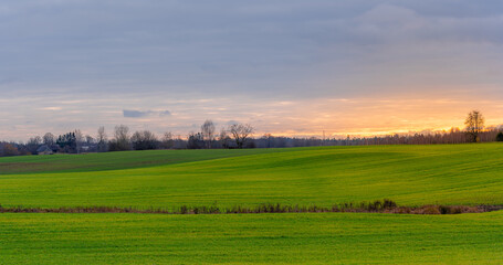 Wall Mural - background of green fields on sunset sky background