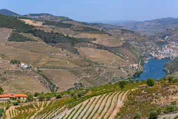 Wall Mural - douro river valley near Pinhao