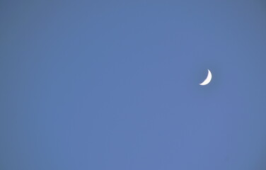 Wall Mural - half moon floating on blue sky in twilight background
