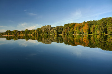 Canvas Print - deciduous forest by the lake on a sunny day during autumn