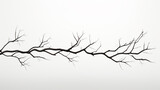 Fototapeta  - dry tree branch isolated on white background