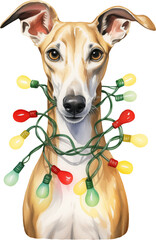 Aufkleber - Christmas whippet in santa hat wrapped in christmas lights created with Generative AI technology