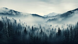 Fototapeta Las - fog in the forest  mountains.landscape with forest, Foggy Forest Pine Tree Woods .landscape with green silhouettes of trees and hills.