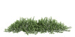 3d illustration of Myoporum Parvifolium bush isolated on transparent background