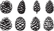pine cone EPS, pine cone Silhouette, pine cone Vector, pine cone Cut File, pine cone Vector