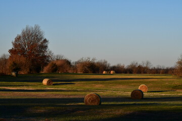 Wall Mural - Hay Bales in a Farm Field