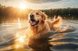 Golden retriever swims in the lake on soft sunny background. Happy healthy dog's life concept. AI generated