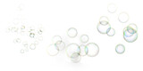 Fototapeta  - soap bubbles on transparent background