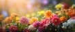 As the sun began to set on a beautiful spring evening, the vibrant colors of the blooming flowers in nature provided inspiration for the home gardener to plant a variety of stunning flowers.