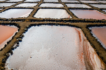 Gran Canaria, Salinas de Tenefe salt evaporation ponds, southeastern part of the island, pink color created by Dunaliella salina algae