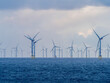 Offshore and Onshore Windmill farm Westermeerwind, Windmill park in the Netherlands with huge large wind turbines, group of windmills for renewable electric energy