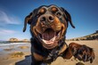 Environmental portrait photography of a curious rottweiler licking an ice cream cone against a beach background. With generative AI technology