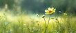 background of the lush green meadow, a beautiful yellow flower stood tall, enhancing the harmony of nature with its natural and serene presence.
