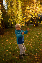 Wall Mural - Cute boy in autumn Standing on a green lawn with fallen leaves under a tree