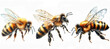 Set of bee isolated on the white. Generative AI.