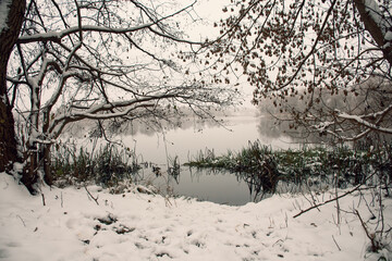 Wall Mural - the first snow fell