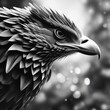 black and white image of bird with feathers black and white image of bird with feathers black and white portrait of a eagle
