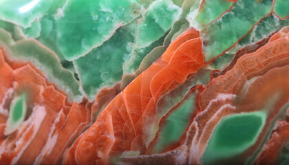 Wall Mural - coral jade mineral texture