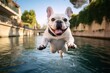Close-up portrait photography of a cute french bulldog jumping against canals and waterways background. With generative AI technology