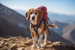 Close-up portrait photography of a curious beagle hiking against gorges and canyons background. With generative AI technology